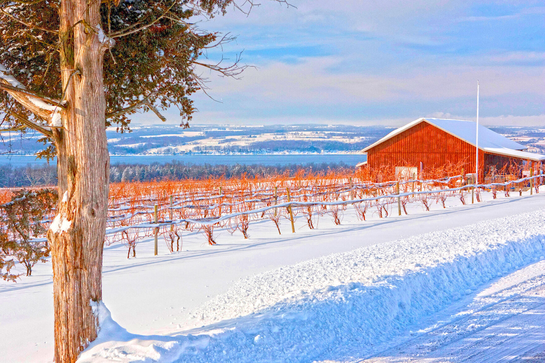 Winter-Cayuga-County-HDR.jpg